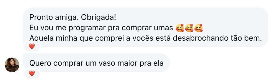 Depoimento de cliente sobre uma planta que está desabrochando bem
