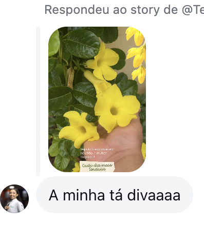 Depoimento de cliente: A minha tá diva