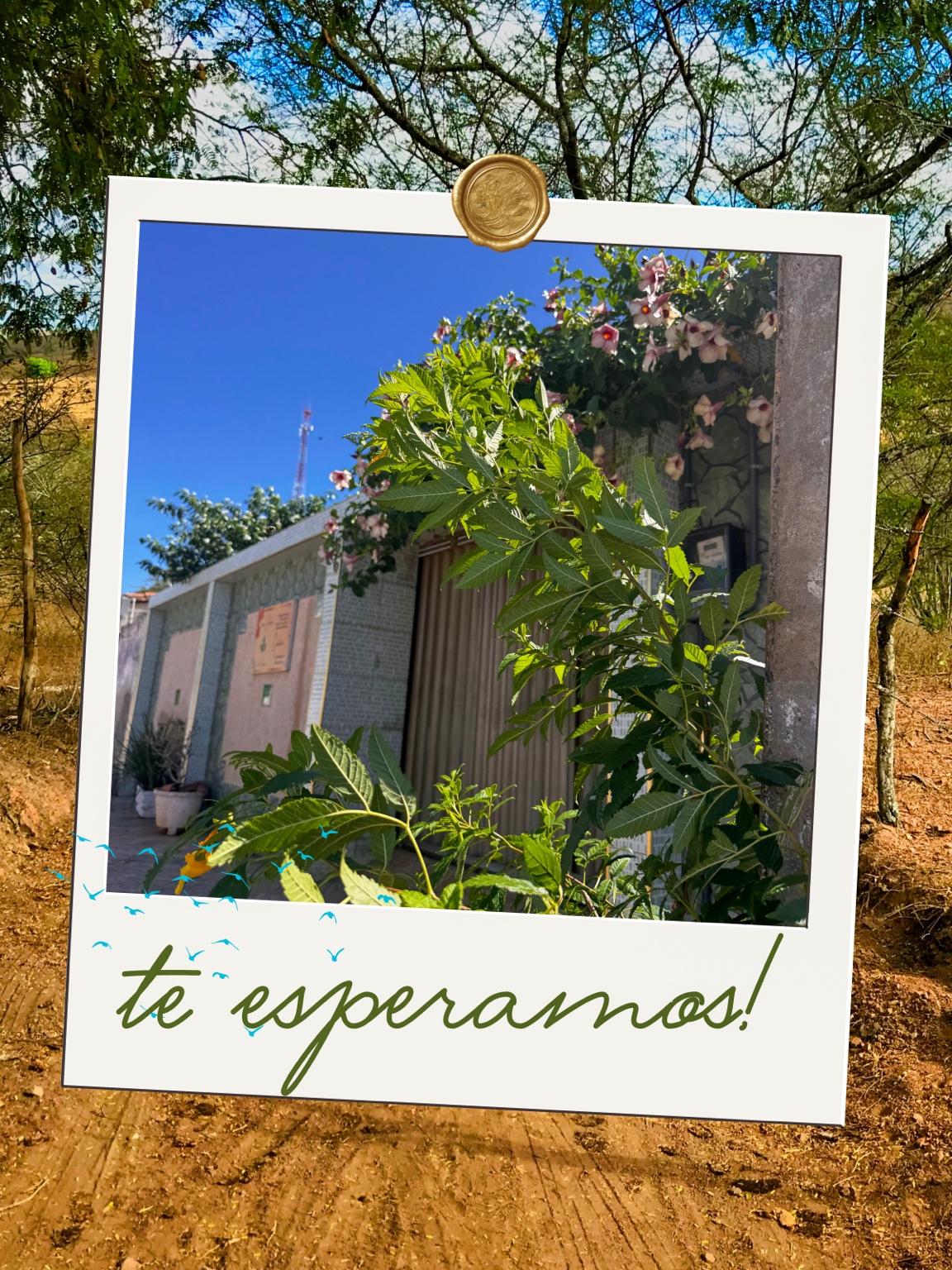 Fotografia da frente do Ateliê Botânico em uma moldura com a mensagem te esperamos